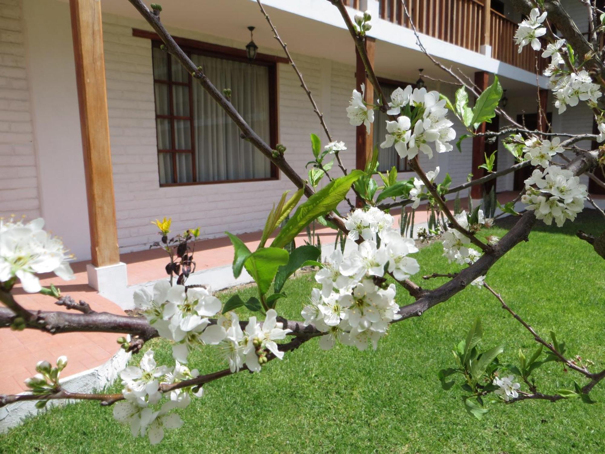 La Quinta San Andres Hotel Ibarra Kültér fotó